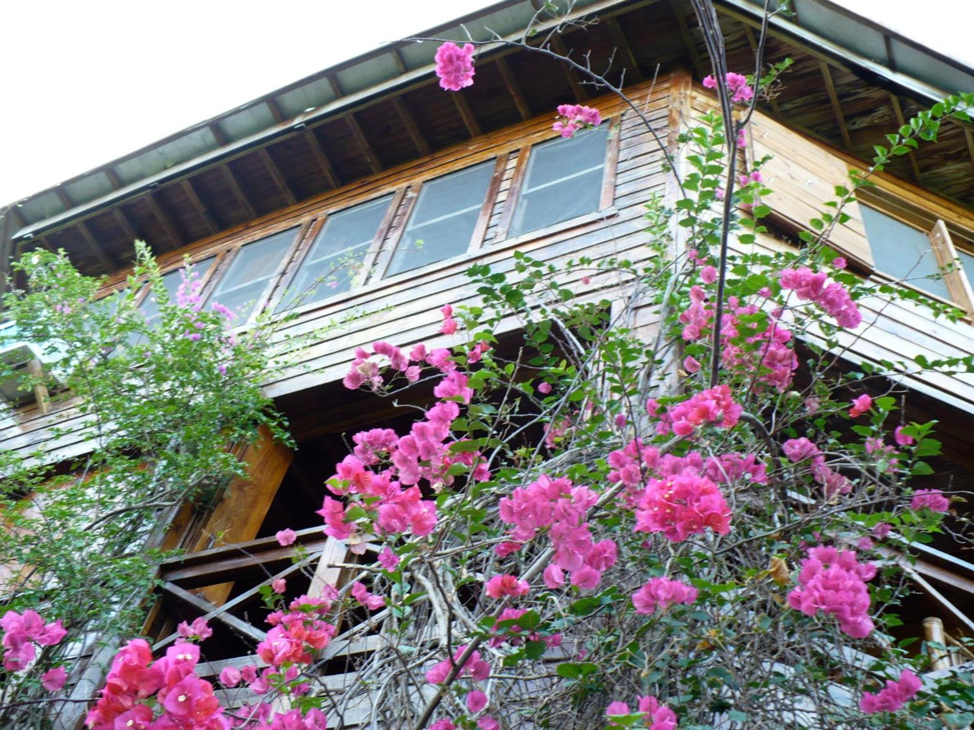 Roatan Bed&Breakfast Apartments West End Bagian luar foto