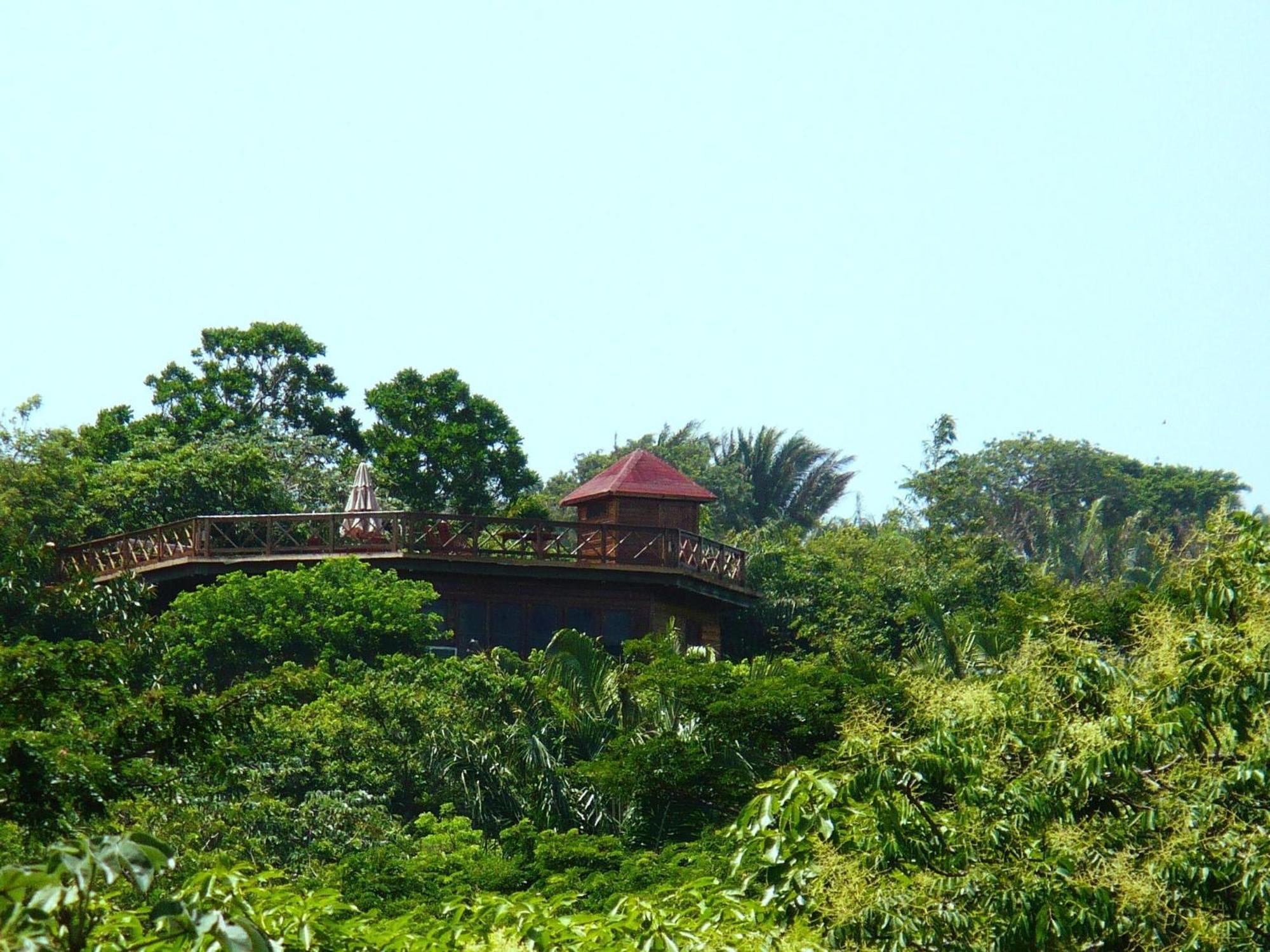 Roatan Bed&Breakfast Apartments West End Bagian luar foto