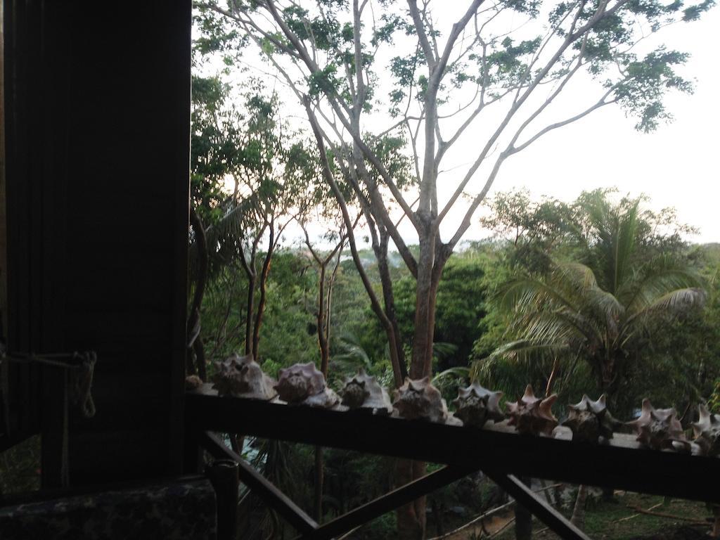 Roatan Bed&Breakfast Apartments West End Bagian luar foto